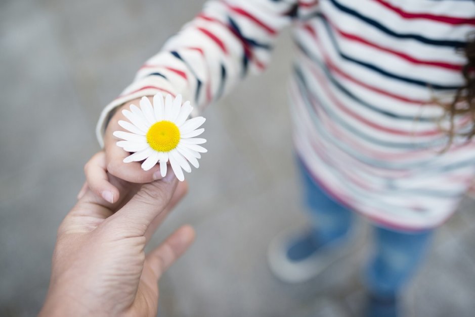 child-handing-white-flower-to-adult