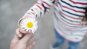 child-handing-white-flower-to-adult