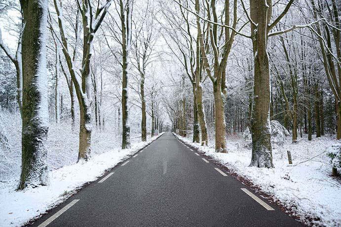 empty-forest-road-in-winter-snow