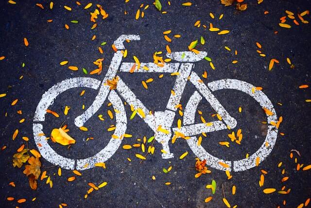 white-bicycle-sign-on-leaf-covered-road