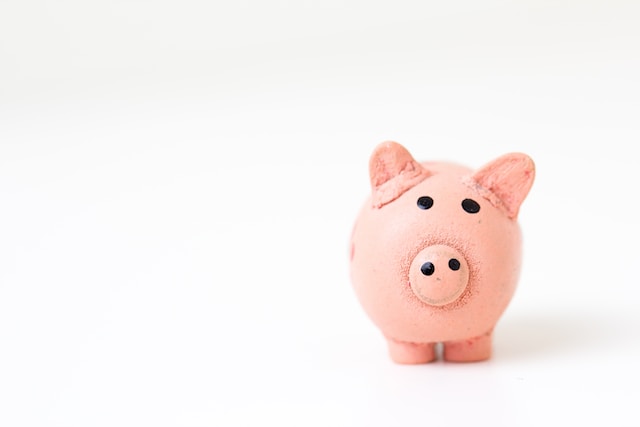 pink-piggy-bank-on-white-background