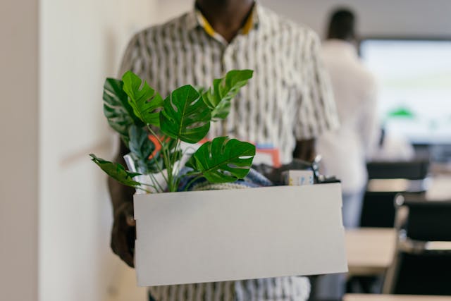 A smartly dressed man in an office environment holding a box of belongings including a desk plant